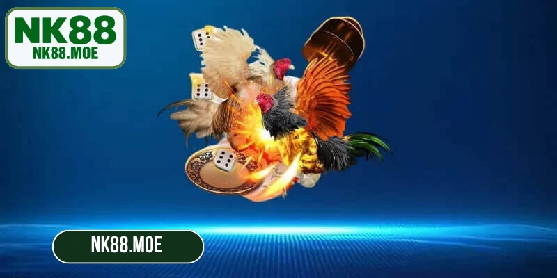 Toàn bộ các trận đấu đá gà NK88 được phát sóng bằng công nghệ livestream